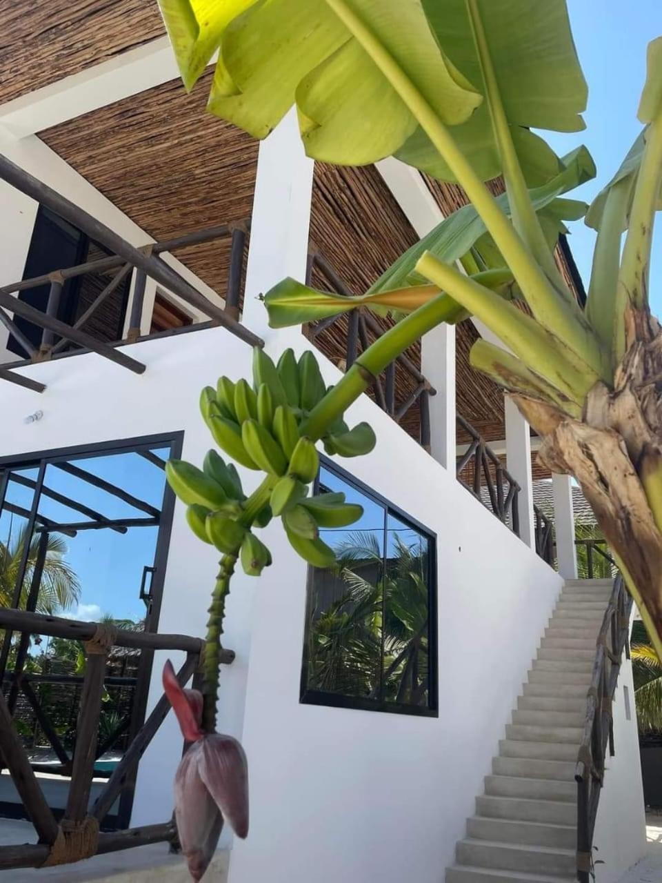 Holiday home Boutique Bwejuu